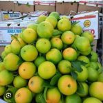 Orange Jonub 1kg پرتقال جنوب شیرین