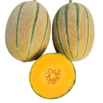 Iranian Jana Melon 1pc ملون جانا