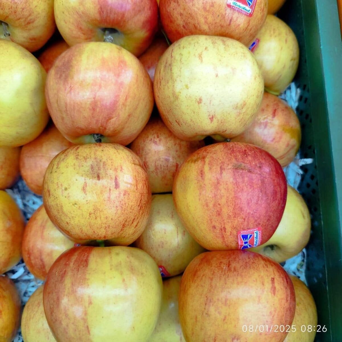 Gala apple 1kg سیب گالا - Image 2