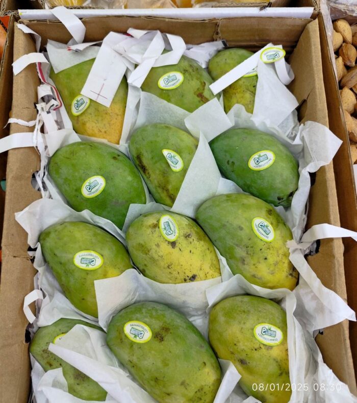 Egypt Mango BOX انبه مصری باکس - Image 2