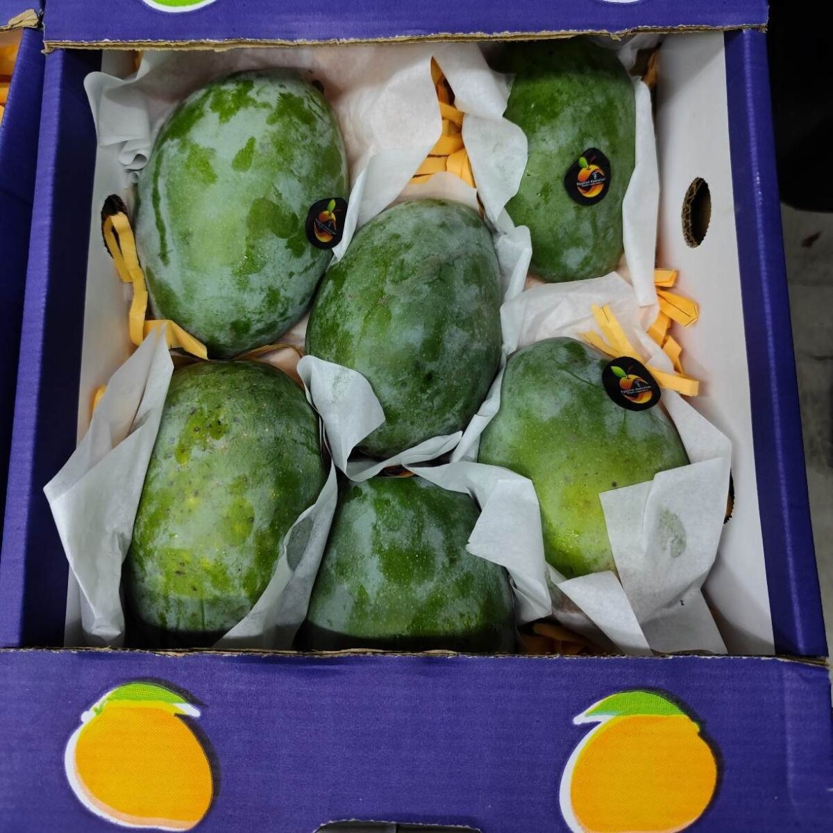 Egypt Mango BOX انبه مصری باکس - Image 2