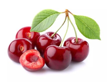 Australia Cherry  گیلاس استرالیا