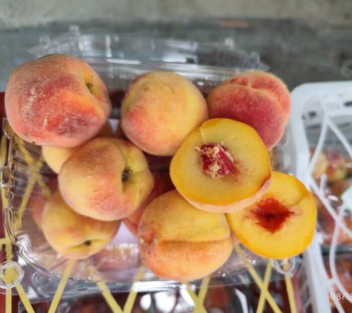 Iranian Peach 1pocket هلو ایرانی - Image 3