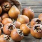 Iranian Common medlar ازگیل ایران