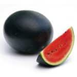 Yemen Watermelon هندوانه یمن