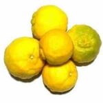 Bakrayi بکرایی