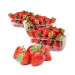 Strawberry 1Pocket توت فرنگی