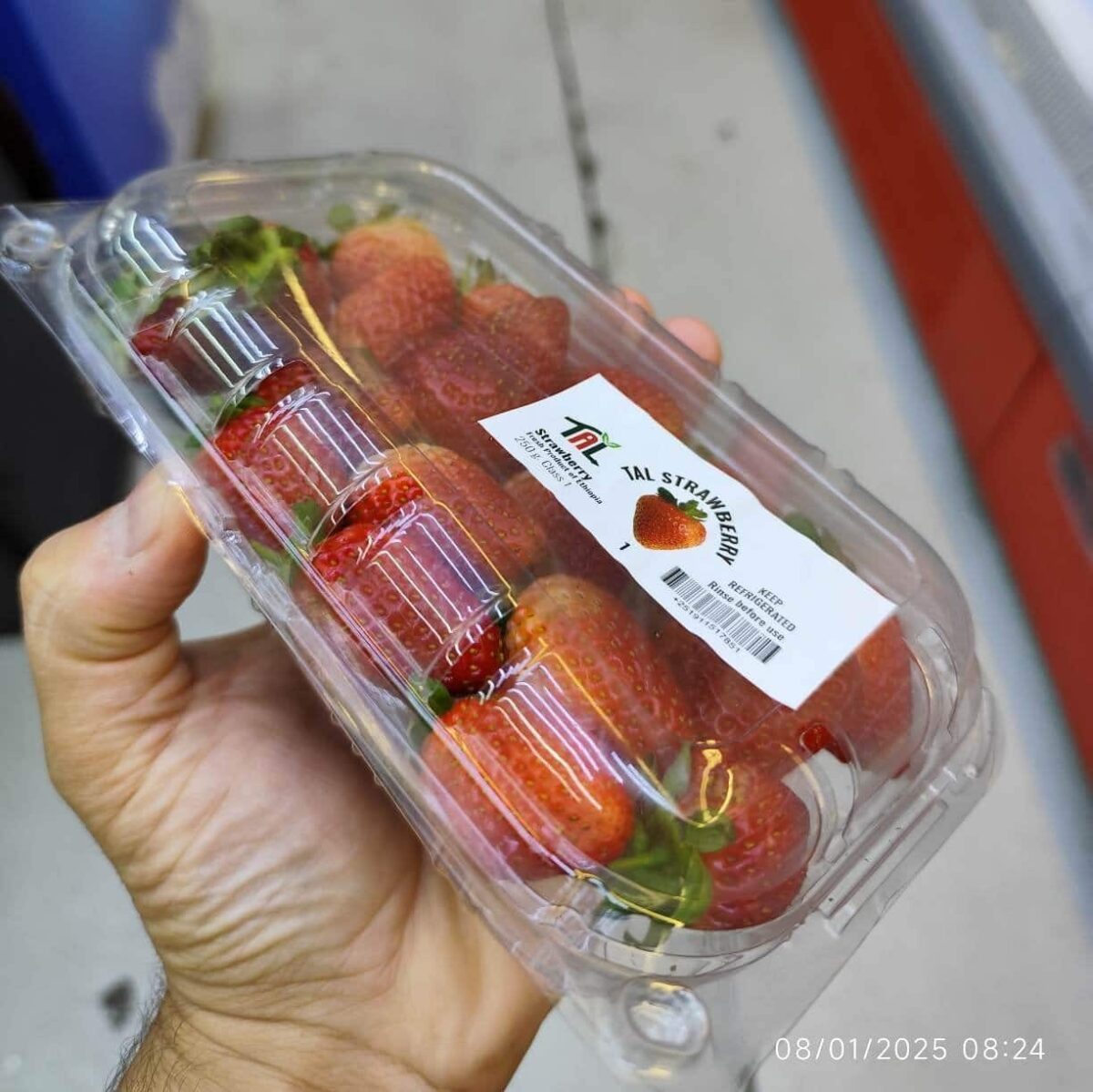 Strawberry 1Pocket 300gr توت فرنگی مصری - Image 2