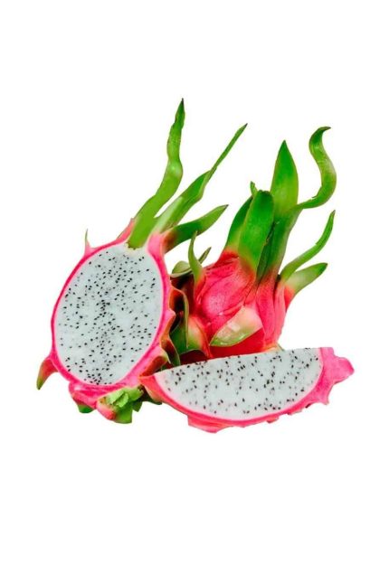 Dragon fruit White دراگون فرویت سفید