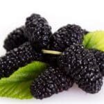 Turkey Blackberry 500gr توت سیاه ترکیه