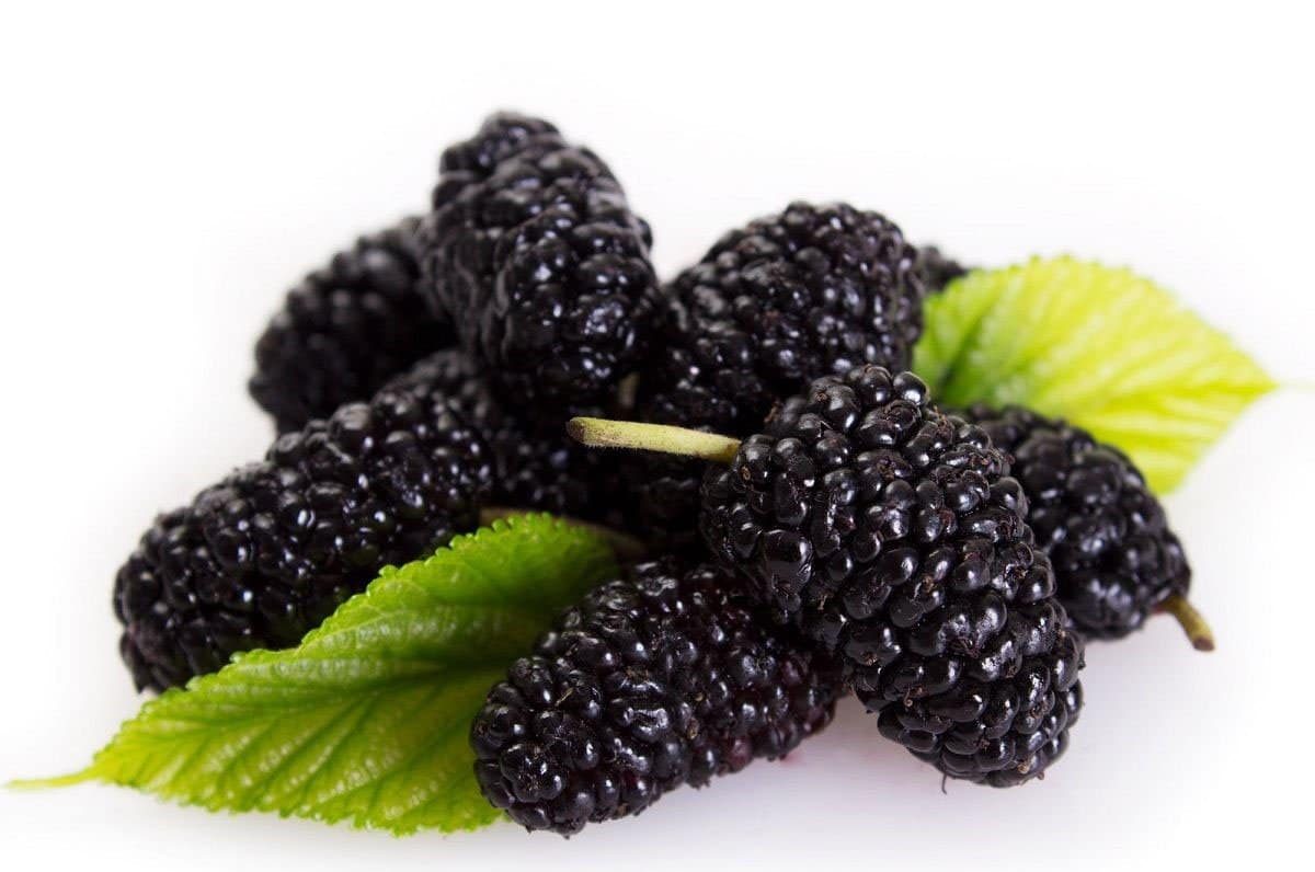 2025/01/1000111710.jpg Turkey Blackberry 500gr توت سیاه ترکیه - Image 1