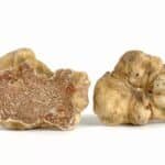 Red Truffle 2/5kg قارچ ترافل (دنبلان)