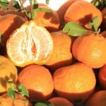 Siahoo Mandarin  نارنگی سیاهو - 1Kg