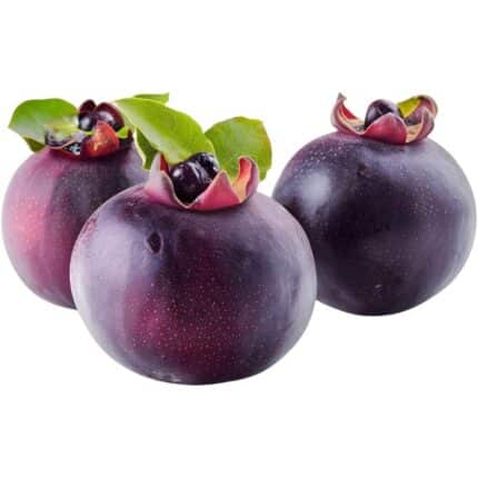 Mangosteen Jumbo منگوستین