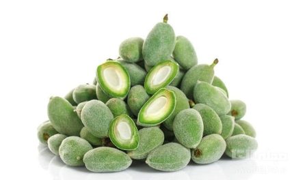 Green Almond 1kg چغاله بادام