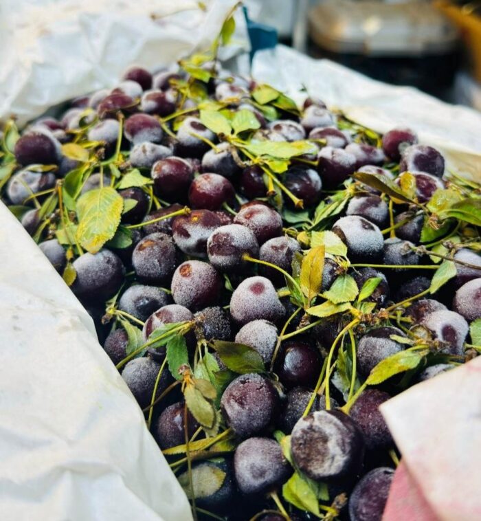 Frozen Sour Cherry Box 5kg آلبالو یخ زده سبدی - Image 1