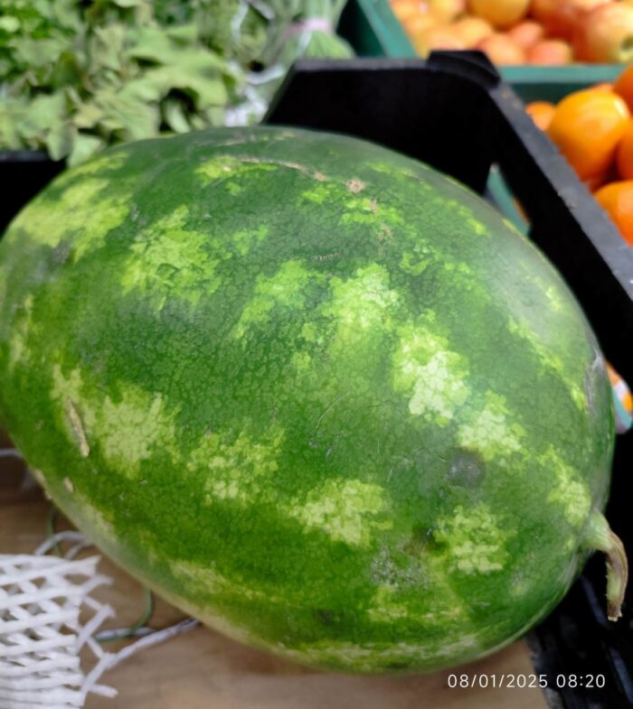 Iranian Red Watermelon 1Pc هندوانه قرمز ایران - Image 2