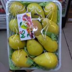 Pear Egyptian Type 1Pocket  گلابی مصری ایران