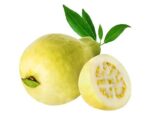 Guava Egypt box گواوا(جوافه) مصر