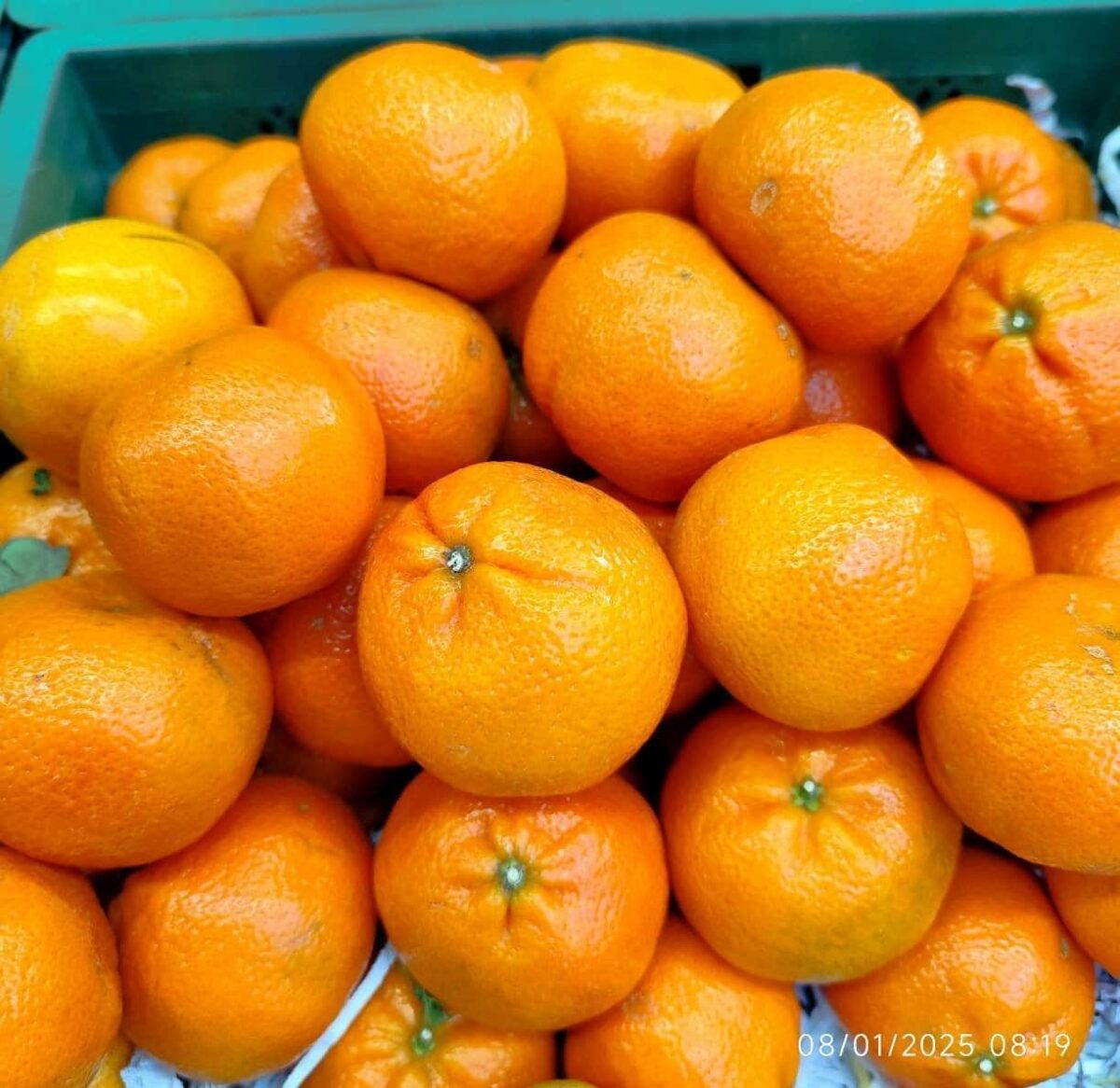 South of Africa Mandarin 1Kg نارنگی آفریقا - Image 2