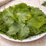 Green Grape Leaves 250gr برگ مو