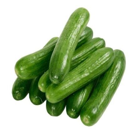Iranian Organic cucumber 1Kg خیار بوته ای ایران