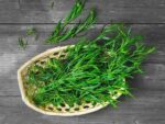 Fresh Tarragon 1pc ترخون تازه