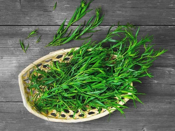 Fresh Tarragon 1pc ترخون تازه - Image 1