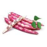Fresh pinto beans kg لوبیا چیتی تازه