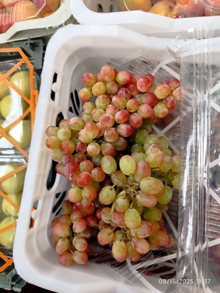 Iranian Red Grapes 1pocket انگور قرمز ارومیه - Image 2