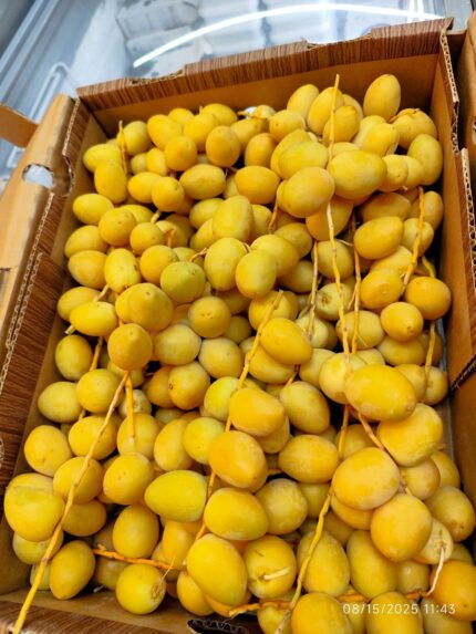 Fresh Date (Jordan) 1kg خرما تازه اردن