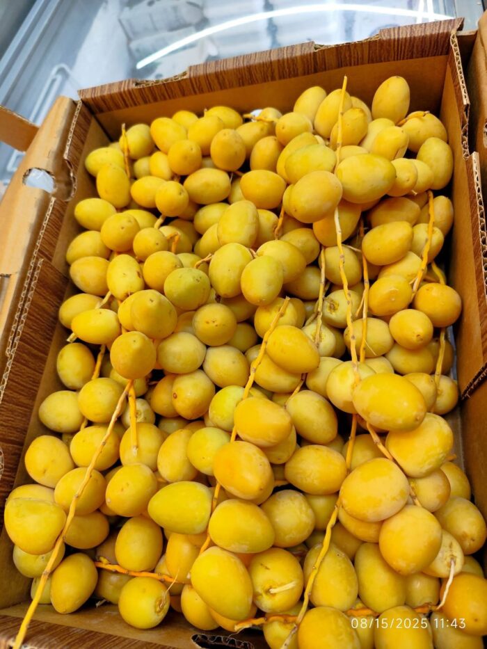 Fresh Date (Jordan) 1kg خرما تازه اردن - Image 1