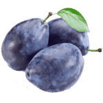 Iranian Red plum (khormayi) آلو خرمایی ایران
