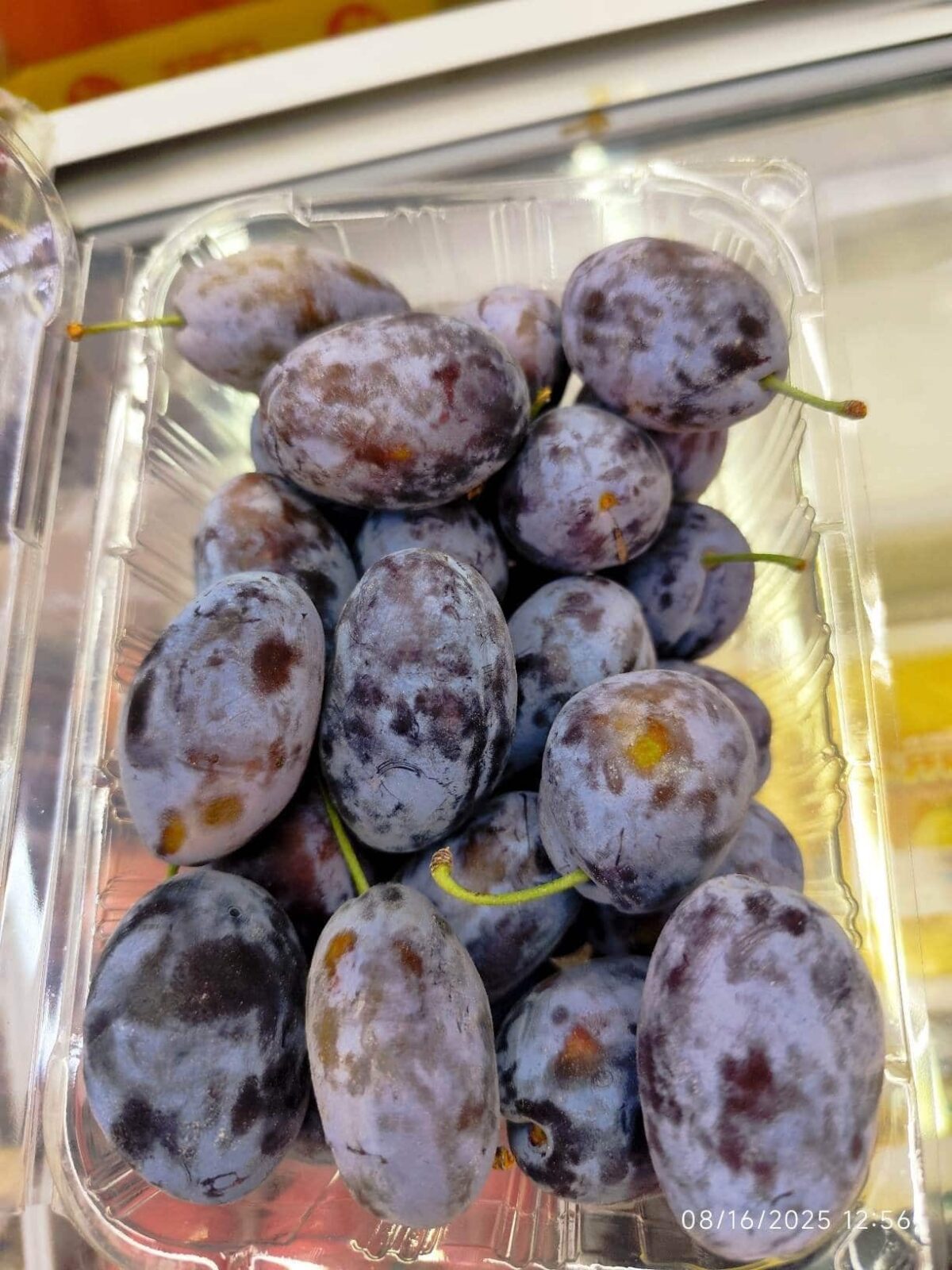 Iranian Red plum (khormayi) آلو خرمایی ایران - Image 2