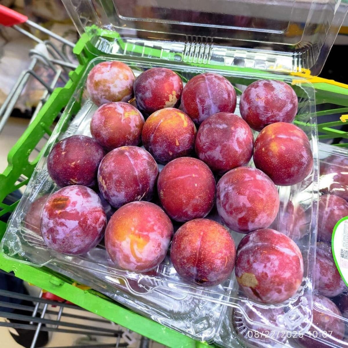 Iranian Red Plum (Akhtari) 1pocket آلو اختری - Image 2