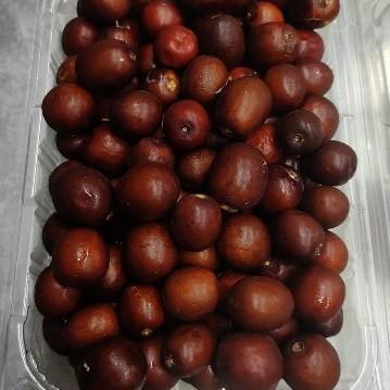 Fresh Jujube 1pocket عناب تازه