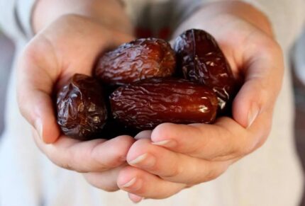 Egyptian Majdool Date kg خرما مجول مصری