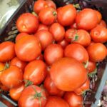 Iranian Tomato kg گوجه فرنگی ایران - Image 2