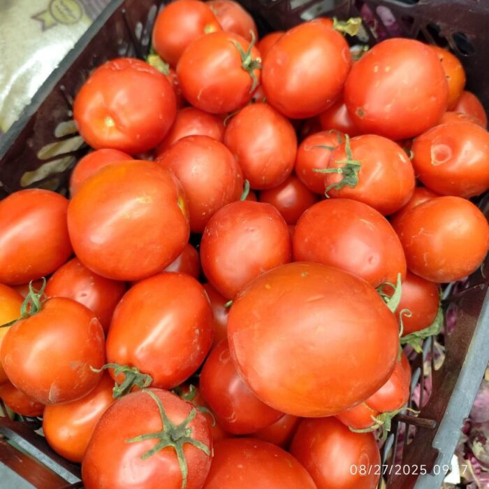 Iranian Tomato kg گوجه فرنگی ایران - Image 2