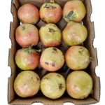 Yemen pomegranate Box 4-5 kgانار یمن باکس