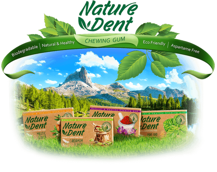 Nature Dent Suger Free Chewing gum 7pc- 4 flavor - Image 1