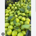 Iranian Sour Lemon 1kg لیمو ترش ایران کازرون