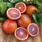 Iranian Sour Red Lemon 1pocket  لیمو ترش تو سرخ