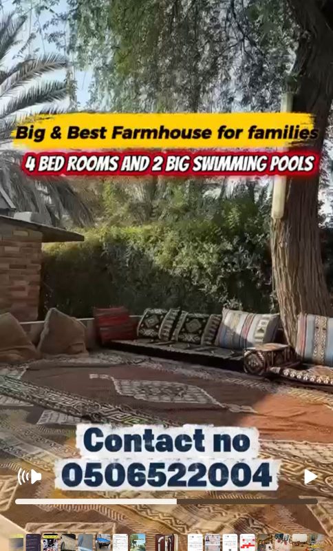 WhatsApp Image 2025-11-19 at 14.10.55