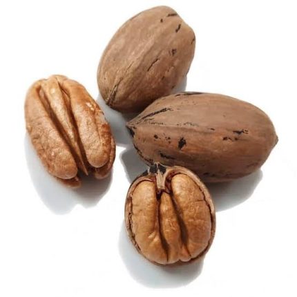 Iranian Pecan 1kg گردو پکان