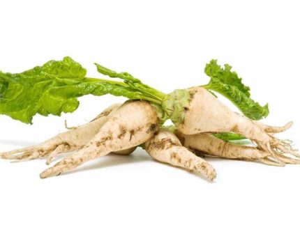 Sugar Beet 1kg چغندر قند