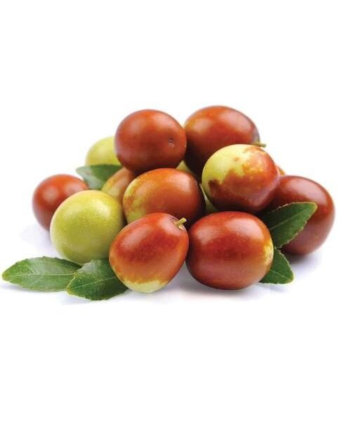China Fresh Jujube 500gr عناب تازه