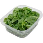 Fresh Basil 1Pocket 200gr ریحان پاک شده