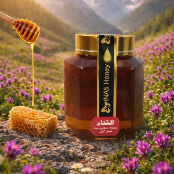 Inas Premium Astragalus Honey 750gr عسل گون ایناس