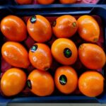 Red Orange Tray 1.5kg پرتقال تو سرخ بادامی